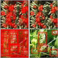 plantmethods20.png